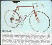 Special 1981